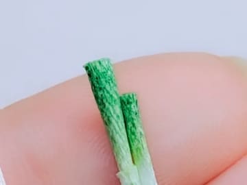 「なんて器用なの！」指先にのるサイズの『鍋の具材』　細かすぎる『手仕事』に驚き