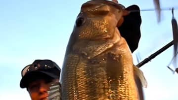 「なんでこんなに水が綺麗なのか謎」霞ケ浦は絶賛クリアアップ中。超極太な1本を仕留めたルアーは？【週刊・ササカツ無双】