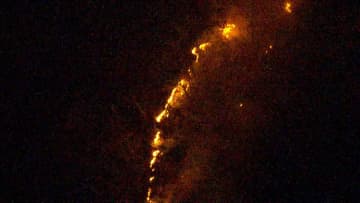 神奈川・伊勢原市の山火事 4日目で鎮圧　約1.3ha焼失もけが人なし