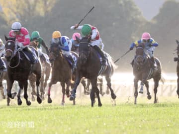 【阪神ジュベナイルフィリーズ】勝率50％の①人気は23、24年と連敗中！軸馬にすべきは！？3連単を的中させる軸馬の狙い方