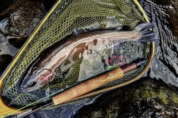 【渓流釣り】関東圏の冬季キャッチ＆リリース区間『箱根早川』でフライフィッシング！