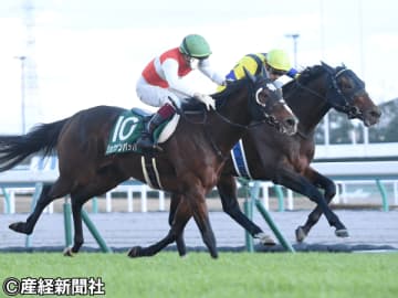 【中日新聞杯】１桁人気までなら買いでいい？ 過去８年のデータから見える波乱の主役となり得る馬とは