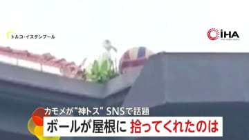 “奇跡のトス”がSNSで話題に「ありがとう！」屋根の上へ飛んだボールを“カモメ”が手助けし生徒たち大歓声　トルコ