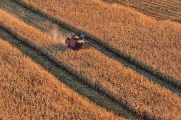 中国の食糧生産、25年も7億トン以上を維持