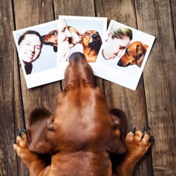 犬との『思い出を残す方法』4つ 愛犬との大切な記憶を形にするにはどうしたらいいの?注意点まで解説