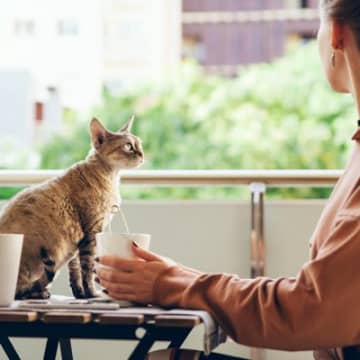 もしも猫が人間になったら『やりそうなこと』4つ　気まぐれな性格に振り回されるかも？
