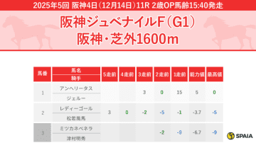 【阪神JF】アルテミスSは好内容の3着、タイセイボーグが本命　穴馬はスウィートハピネス