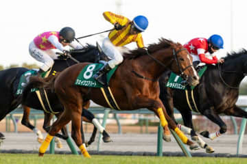 【中日新聞杯】シェイクユアハート、待望の重賞初制覇