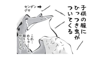 ひっつき虫を服につけて、どんぐりをポケットに入れる…秋がやってきたと感じます【カエル母さん #６】