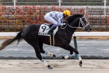 【中京3R】武豊ギュルヴィが惜敗に終止符