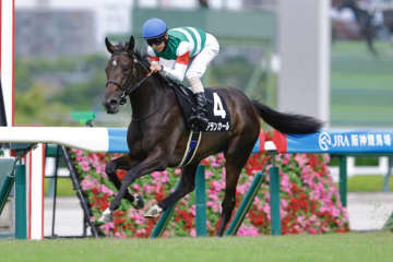 【阪神JF】良血アランカールは2枠4番