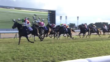 【阪神ジュベナイルフィリーズ】数々の名牝がここから羽ばたいた　ニューヒロイン誕生！来年クラシックへと繋げるのはどの馬か？