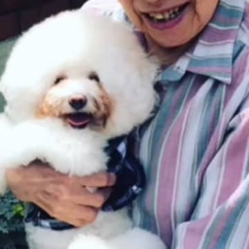 ひいおばあちゃんが亡くなる前『最後に撮った犬との写真』が表彰→涙溢れる『愛に溢れた作品』がSNSで話題「本当に素敵な話」と80万再生