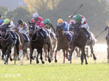 【阪神ジュベナイルフィリーズ】調教技術の向上で休養明けのＧⅠでいきなり好走するケースも珍しくない！買ってはいけない馬券とは！？