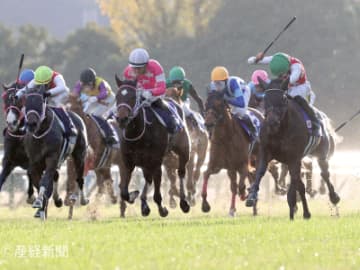 【阪神ジュベナイルフィリーズ】馬券圏内が一度もない！馬体重の増減は要注目！買ってはいけない馬券とは！？