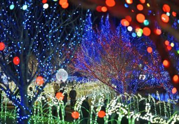 きらめく四季の光　夜の公園イルミネーション　茨城・河内