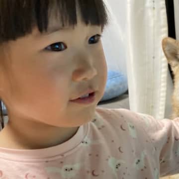 女の子が食べているチキンライスをもらいたい犬→まさかの『手慣れ過ぎている光景』が100万表示「的確なノールックｗｗ」「強者感あって草」