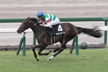 【阪神JF】アランカール オークス馬シンハライトを母に持つ素質馬が無敗で2歳女王の座を狙う
