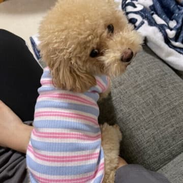 犬が人にお尻をくっつけてくるのはなぜ？ お尻をつけるのは愛犬からの『信頼』のサイン