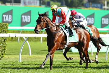 【香港スプリント】香港勢が過去10年で9勝 連覇を狙うカーインライジングにサトノレーヴ、ウインカーネリアンが挑む