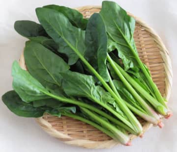 ホウレンソウで筋力アップするの？ 科学誌で検証結果を発表