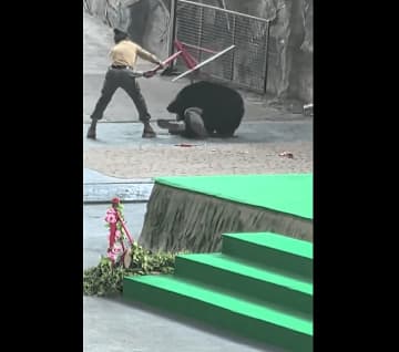 動物園のショーの最中に調教師がクマに襲われる―中国メディア