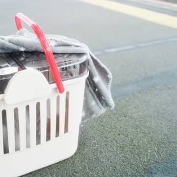 猫を『新幹線』に乗せるときに注意すべきこと4つ　乗車規定や費用、守るべきマナーまで