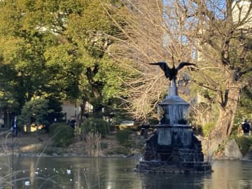 「初霜」「初氷」の基準って？ 冬の散歩で“初”に出合うには天気予報のここに注目！