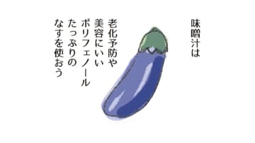 茄子は、老化防止や美容にいいポリフェノールがたっぷり。さらに吸収をよくするには？【激せまキッチンで時短！簡単！ムダなしごはん #３】