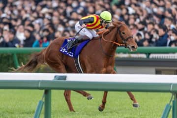 【阪神JF】スターアニスが2歳女王に…母はエピセアローム