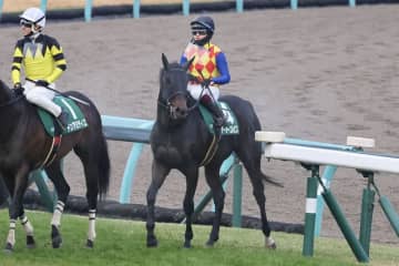 【カペラS】鮫島駿「本当に可能性を感じる」テーオーエルビスが4連勝