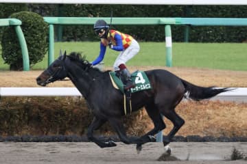【カペラS】テーオーエルビスが4連勝…ダート短距離路線に新星