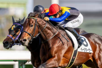 【新馬/阪神5R】2億円ホース、単勝1.3倍ページターナーが断然の支持に応える