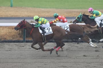 【新馬/中山6R】ミスターメロディ産駒 ルクスポップスターがデビューV