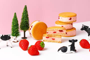 冬限定いちごリッチミルクサンド登場！阪神梅田本店「あさぎり牛乳」で販売