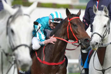 【香港カップ】マクドナルド「まさに怪物」ロマンチックウォリアー4連覇達成