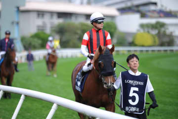 【香港スプリント】三浦「非常に悔しいです」ウインカーネリアンは11着