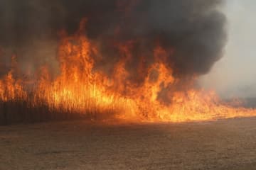 50代男性、”全面禁止” の『野焼き』を行い畑に燃え移り、助けを求め通報  “消防車8台” が出動する騒ぎになりネットでコメント殺到「林野火災アラートが出てて野焼きって放火犯じゃん」「大分では離島まで飛び火したと言われているのに、隣の畑に燃え移る可能性が高いことはわかるでしょう…」