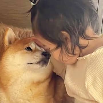 子供が苦手だった犬→1歳の女の子が『愛情を注いだ』結果…素敵すぎる『心を開いた様子』が20万再生「可愛すぎる」「心が穏やかになる」