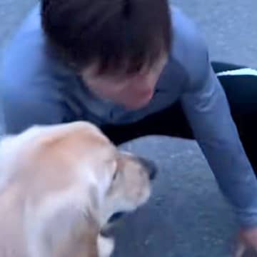 散歩中、カラス避けを怖がる犬→パパが戦い方のお手本を見せて…シュールすぎる『まさかの光景』が16万再生「犬よりも犬してて草」「動きは猿」