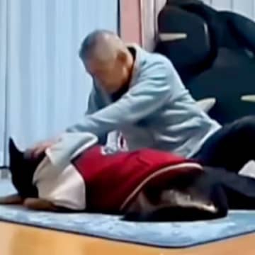 大型犬を実家に預けたら、おじいちゃんとふたりきりでお留守番することになり…ずっと見ていたくなる『尊い光景』に反響「和んだ」「幸せな日常」