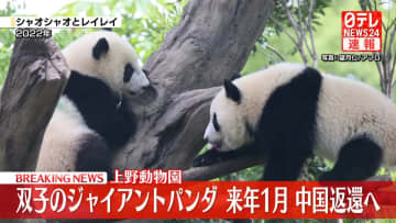 上野動物園・双子のジャイアントパンダ　来月下旬中国に返還へ
