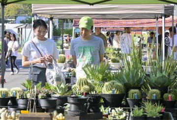 にぎわい創出へ　鹿嶋でマルシェ　20日、体験や地元野菜販売　茨城