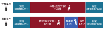 早稲田大学の研究グループ、3分30秒の軽度な運動で子どもの認知機能や気分が一時的に向上したことを明らかに