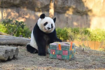 上野動物園の双子パンダ 来年１月に返還　観覧は23日からネット予約制へ