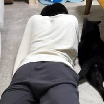 同じ体勢で寝転がっていた猫とお兄ちゃん→仲良く眠っているのかなと思ったら…予想外の『尊すぎる瞬間』に「ぎゃわいい」「あまりにも仲良し」