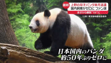 上野動物園の双子パンダ、来月返還へ…国内飼育約50年ぶりゼロに　観覧時間あすから「1分程度」まで