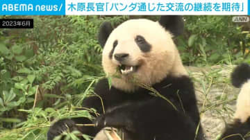 木原官房長官「パンダ通じた交流の継続を期待」