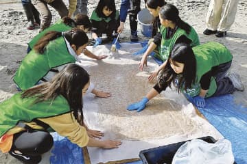 東京都港湾局／お台場でアマモ種まき会開く、小学生らが播種シート作成体験