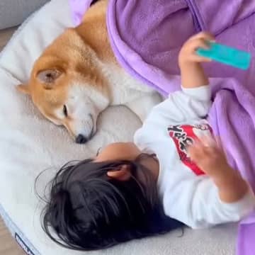 赤ちゃんが苦手だった犬→女の子が2歳になった現在…まるで『本当の姉妹』のような関係性が尊すぎると7万再生「微笑ましい」「疲れ吹っ飛ぶ」